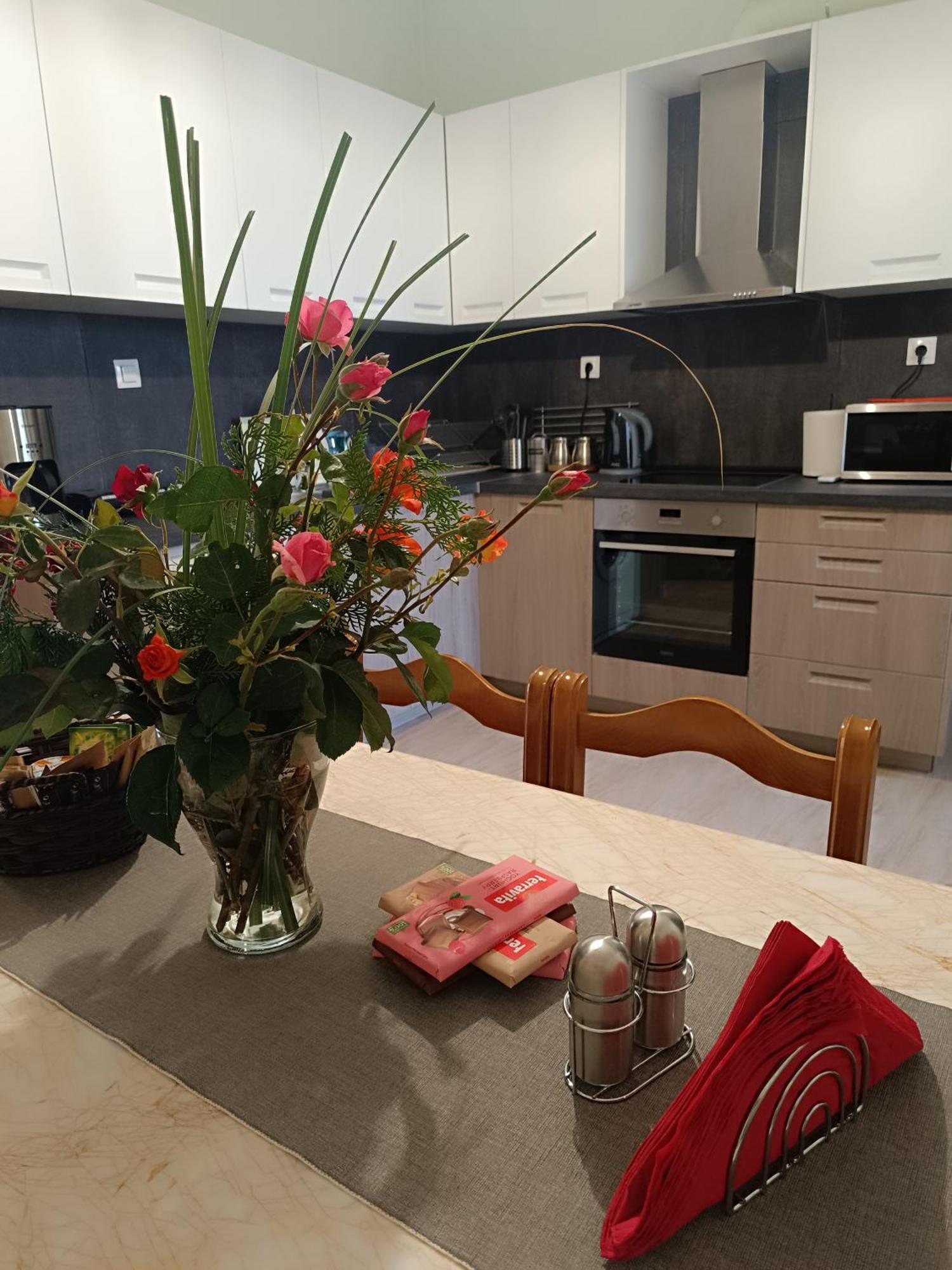 טריקלה Panos House - High Luxury Apartment מראה חיצוני תמונה