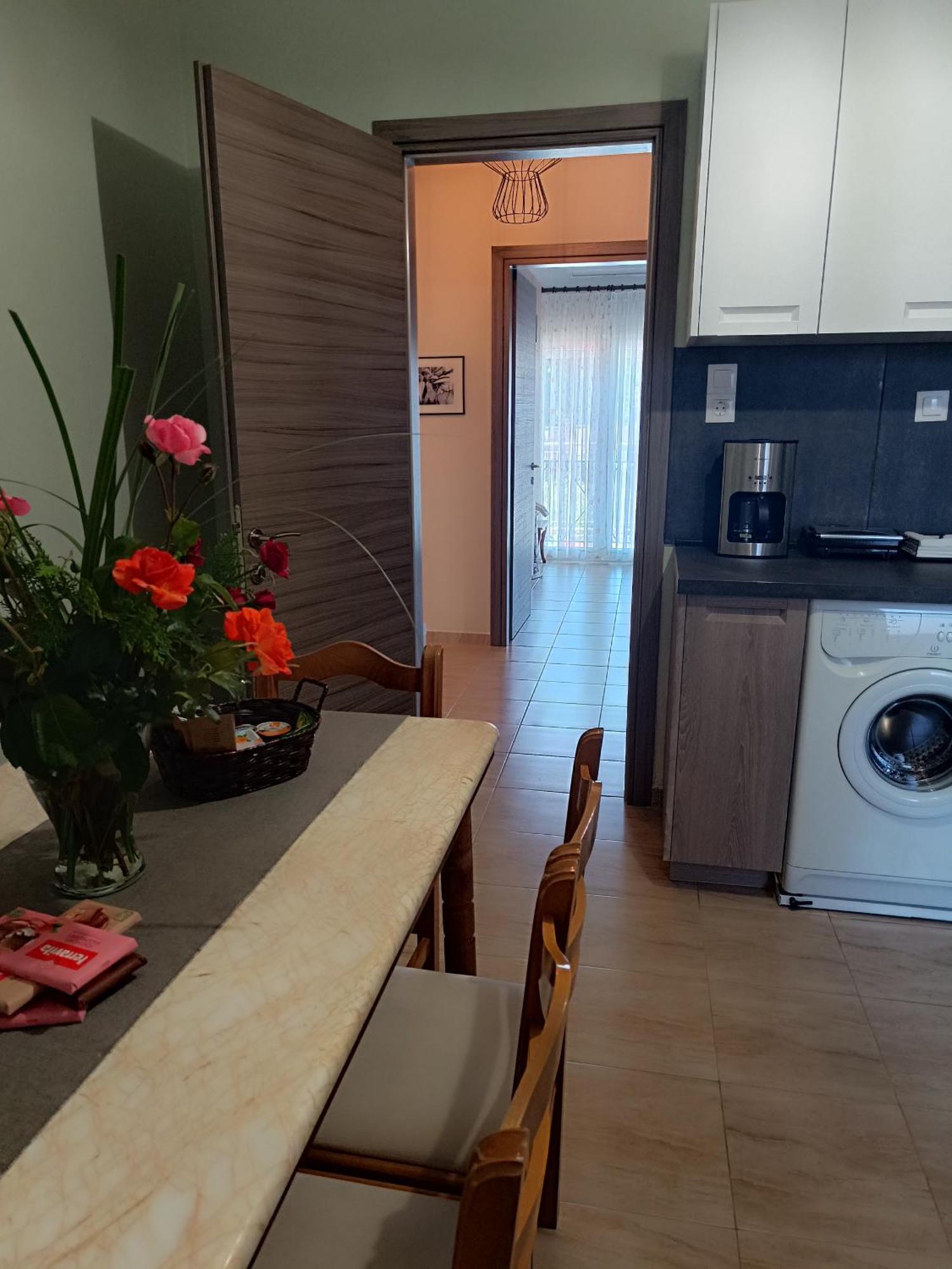 טריקלה Panos House - High Luxury Apartment מראה חיצוני תמונה