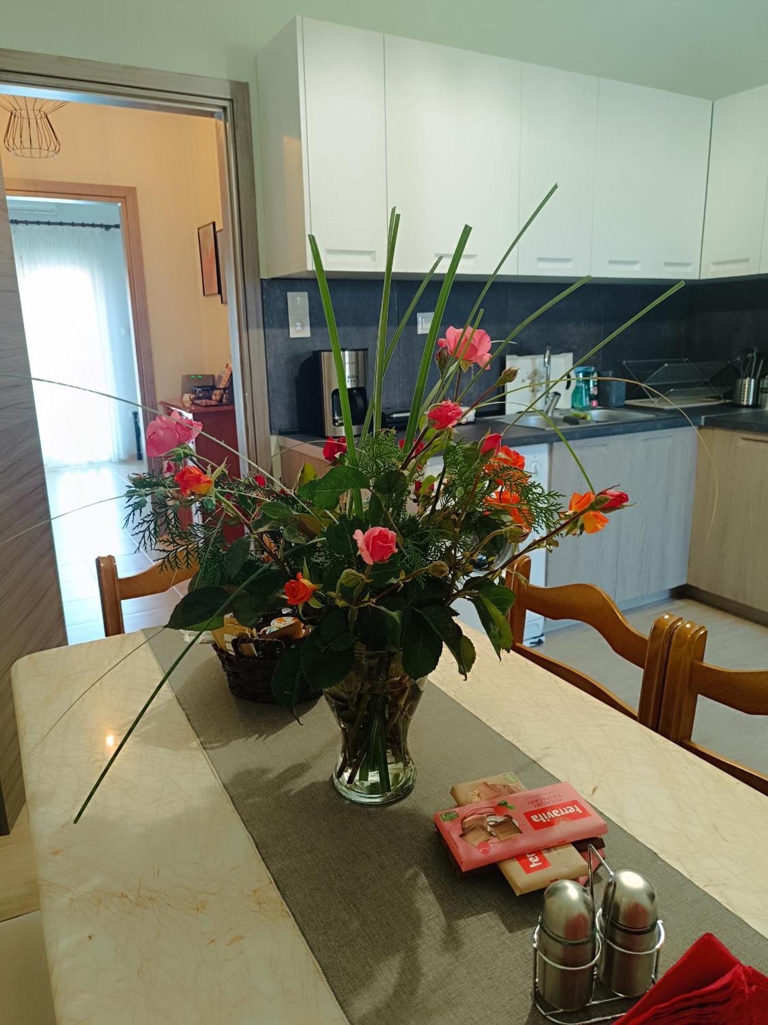 טריקלה Panos House - High Luxury Apartment מראה חיצוני תמונה